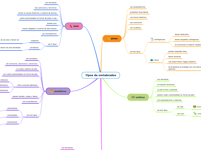 Tipos de vertebrados