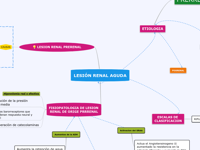 LESIÓN RENAL AGUDA - Mapa Mental