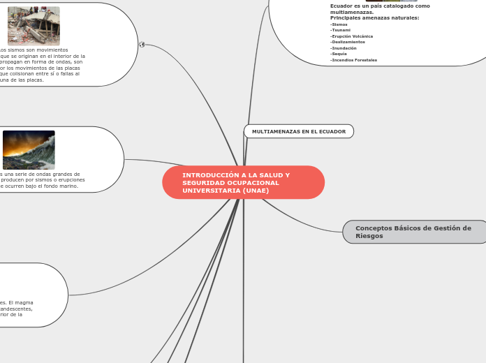 INTRODUCCIÓN A LA SALUD Y SEGURIDAD OCU...- Mapa Mental