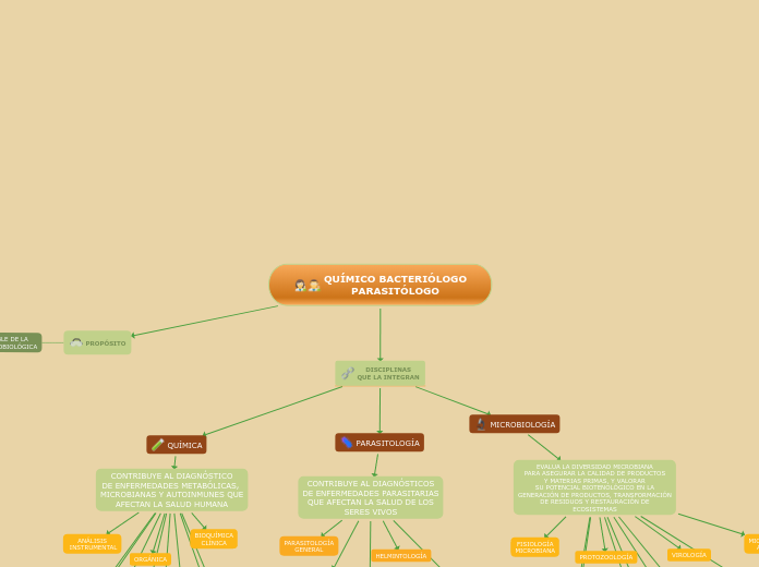 QUÍMICO BACTERIÓLOGO
PARASITÓLOGO - Mapa Mental