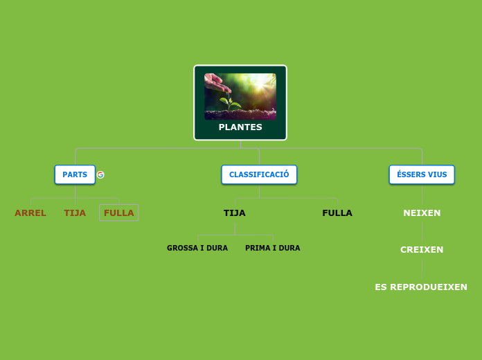 PLANTES - Mapa Mental