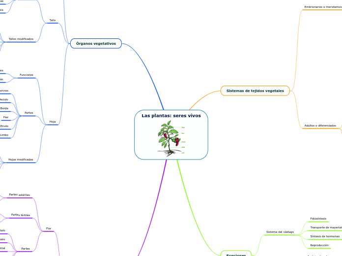 Las plantas: seres vivos