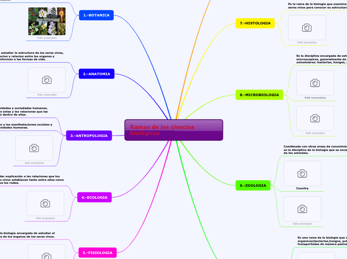 Ramas de las ciencias biológicas