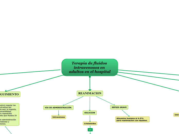 Terapia de fluidos intravenosos en adultos en el hospital