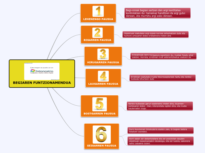 BEGIAREN FUNTZIONAMENDUA - Mind Map