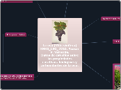 La uva (Vitis vinifera)ENEO_LEO_2210. A...- Mapa Mental