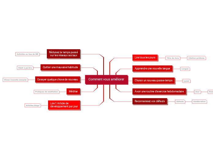 Plan de Développement Individuel Exemple