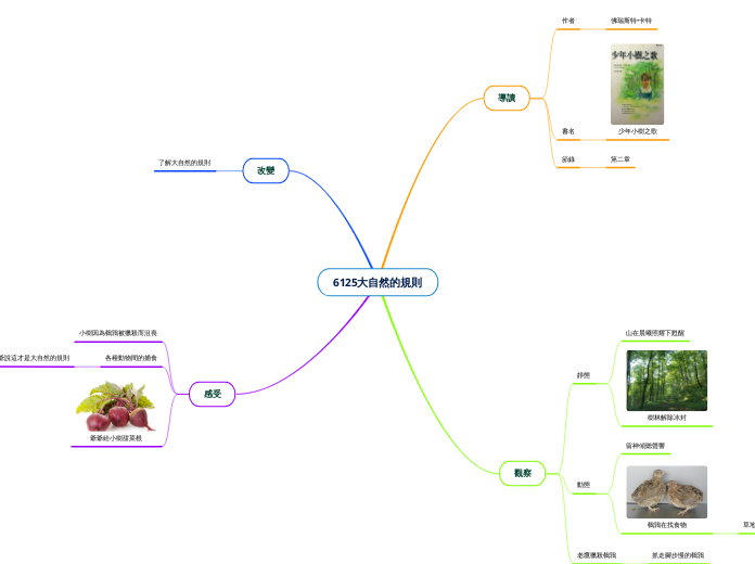 6125大自然的規則