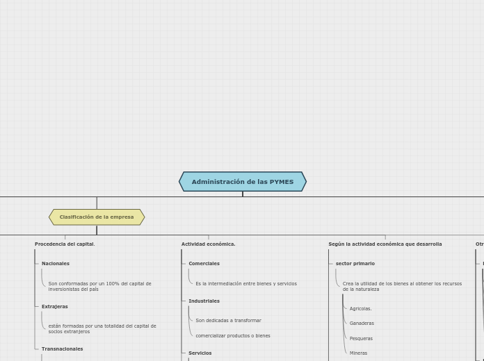 Administración de las PYMES - Mapa Mental