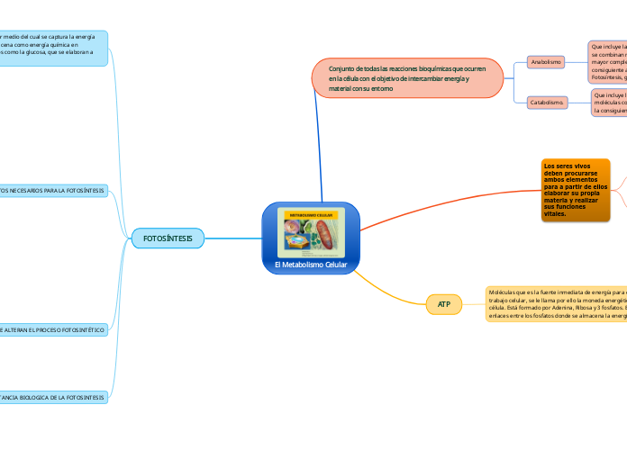 El Metabolismo Celular
