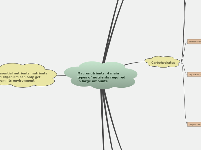 Macronutrients: 4 main types of nutrients required in large amounts