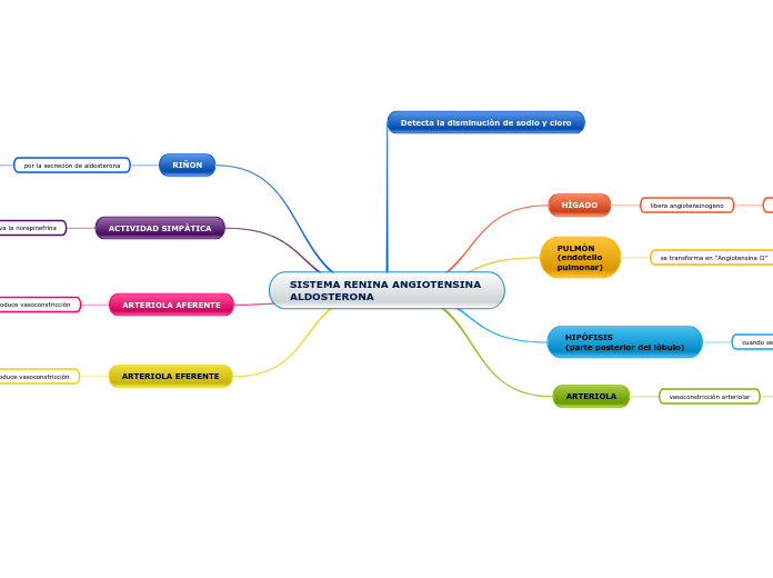 SISTEMA RENINA ANGIOTENSINA ALDOSTERONA