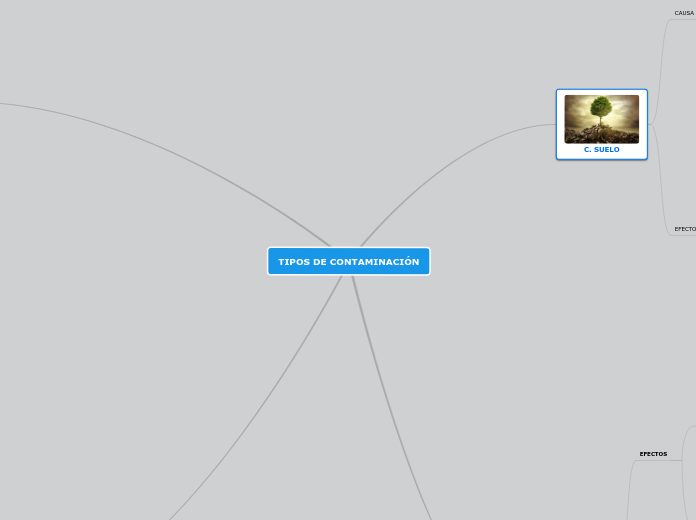 TIPOS DE CONTAMINACIÓN - Mapa Mental