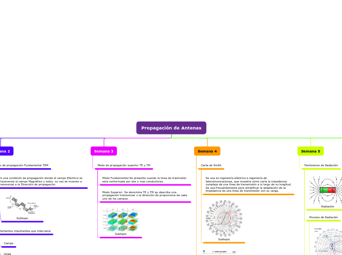 Organigrama arbol