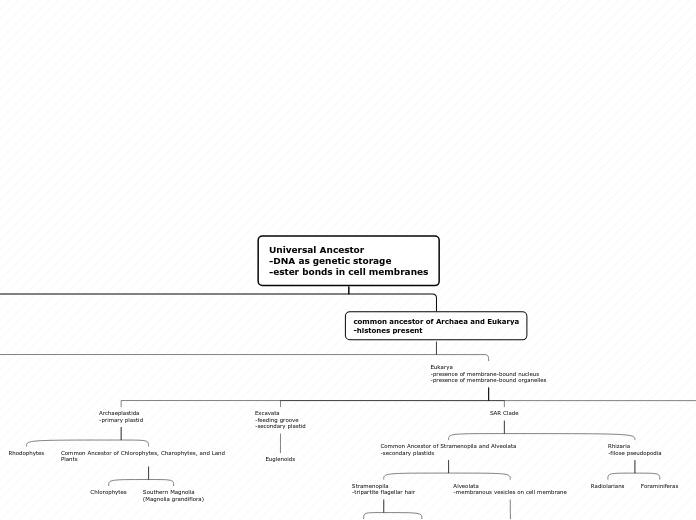 Universal Ancestor
-DNA as genetic storage...- Mind Map