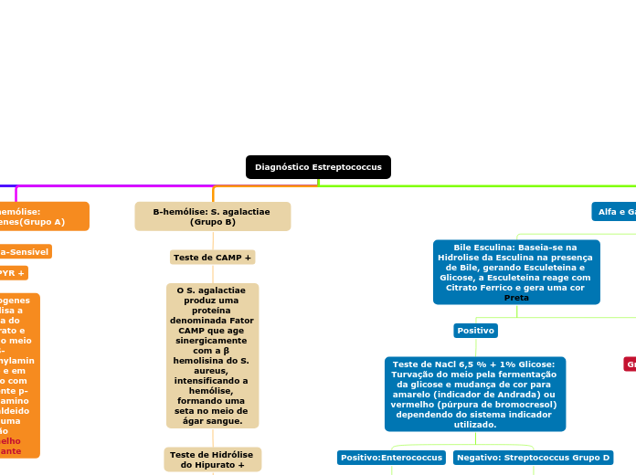 Diagnóstico Estreptococcus