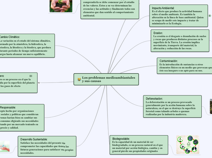 Los problemas medioambiantales y sus causas..