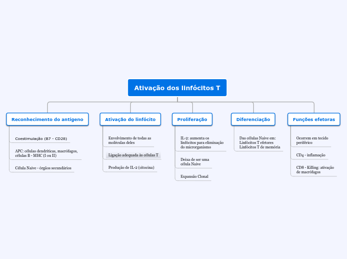 Ativação dos linfócitos T - Mapa Mental