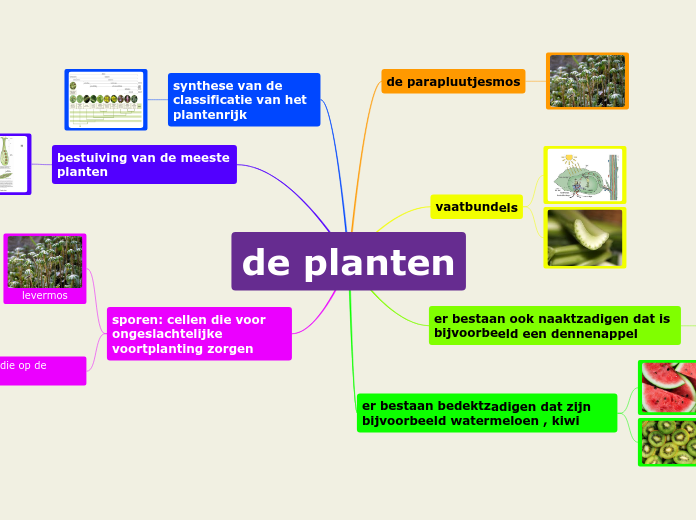 de planten