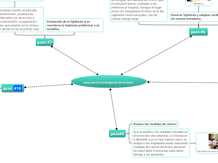 pasos para la investigación de un brote...- Mapa Mental