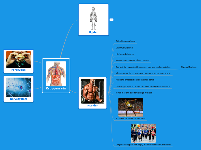 Kroppen vår - Tankekart