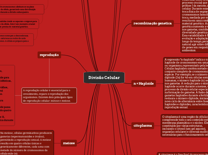 Divisão Celular