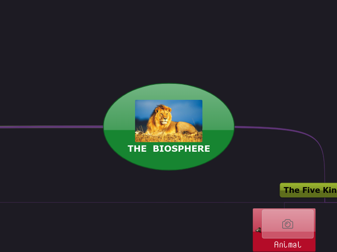 THE BIOSPHERE