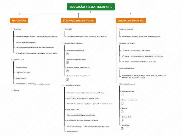 Mapa conceitual - EFE1