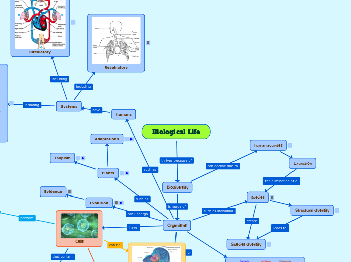 Biological Life - Mind Map