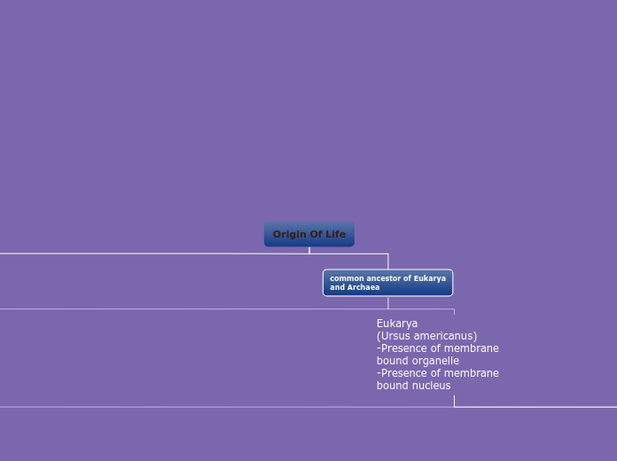 Organigram