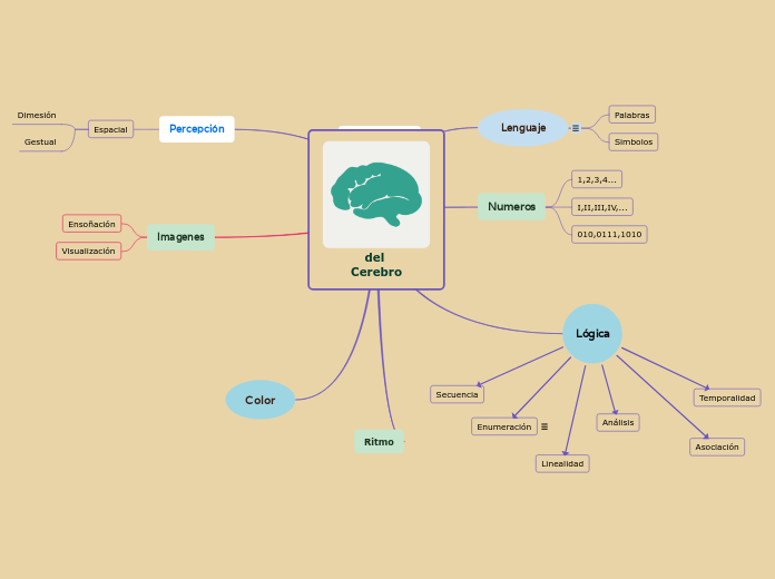 del 
Cerebro - Mapa Mental