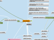 foro virtual - Mapa Mental