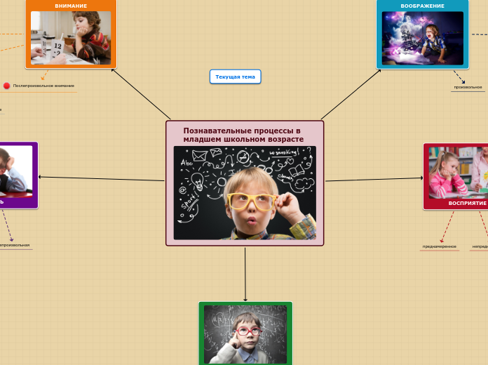 Познавательные процессы в младшем школьном возрасте