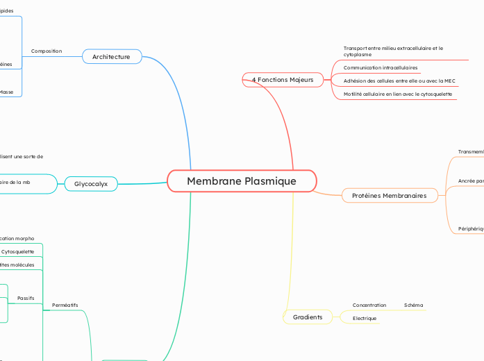 Membrane Plasmique