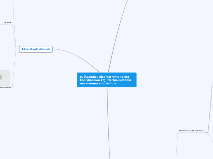 5. ikasgaia: Giza harremana eta koordinazioa (I): Nerbio-sistema eta sistema endokrinoa