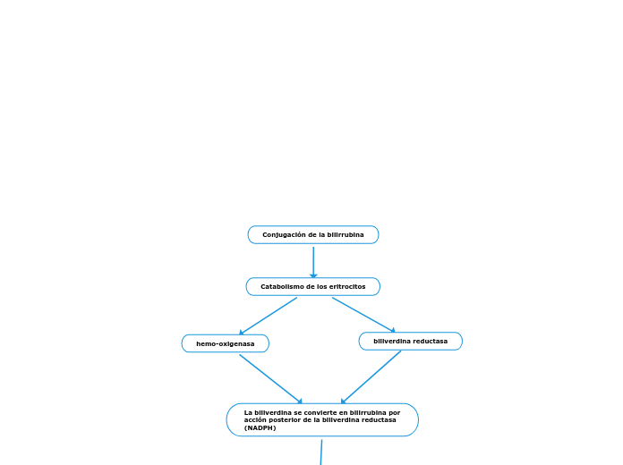 Conjugación de la bilirrubina