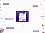 Sistema Nervioso (SN) - Mapa Mental