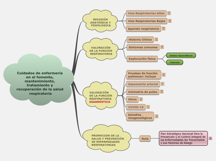 Cuidados de enfermería en el fomento, mantenimiento, tratamiento y recuperación de la salud respiratoria