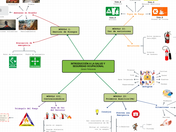 INTRODUCCIÓN A LA SALUD Y SEGURIDAD OCU...- Mapa Mental