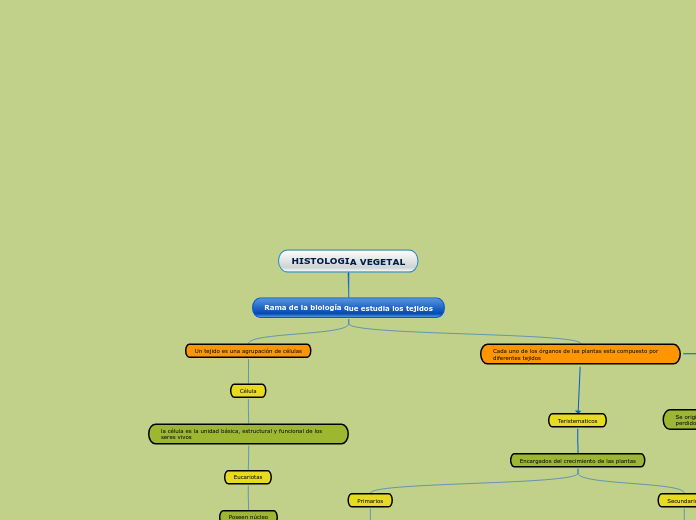 HISTOLOGIA VEGETAL