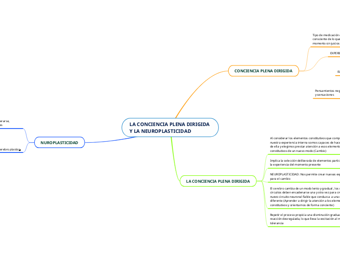 LA CONCIENCIA PLENA DIRIGIDA Y LA NEUROPLASTICIDAD