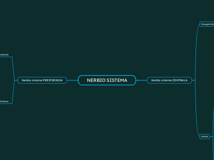 NERBIO SISTEMA