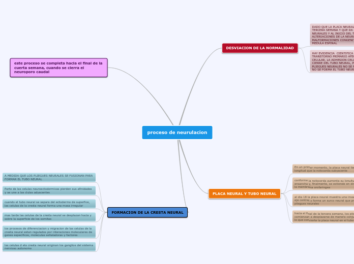 proceso de neurulacion