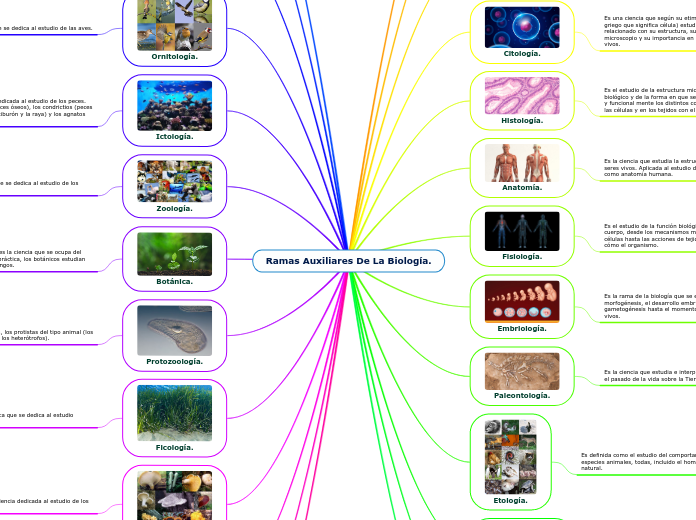 Ramas Auxiliares De La Biología.