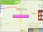 Materiales multimedia - Mapa Mental