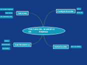 CULTURA DEL MUNICIPIO                  ...- Mapa Mental