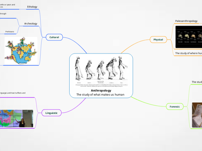 Anthropology
The study of what makes us human  