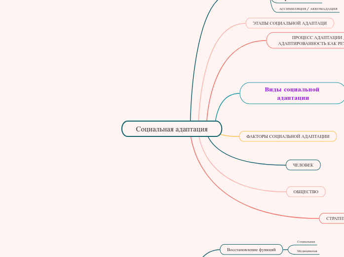 Социальная адаптация