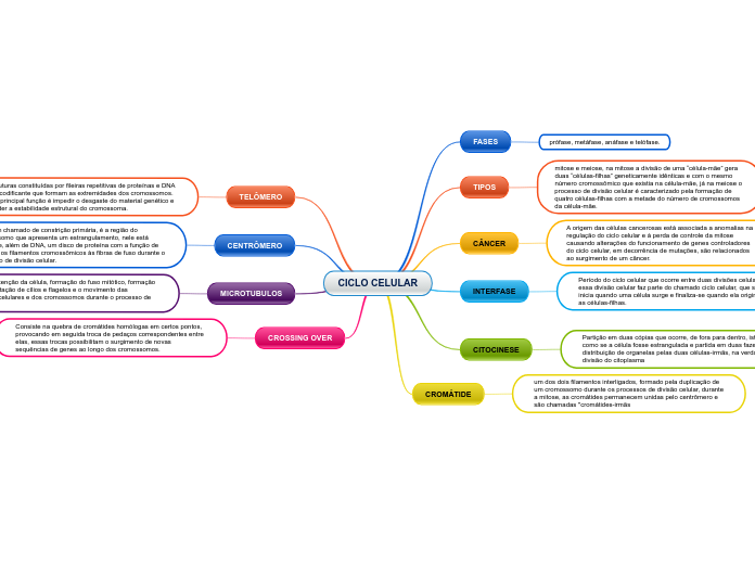 CICLO CELULAR