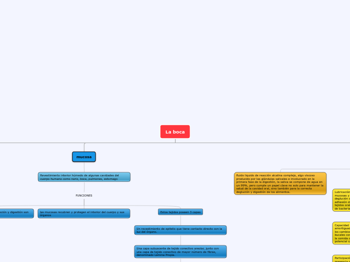 La boca - Mapa Mental